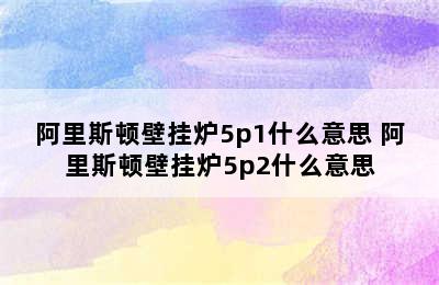 阿里斯顿壁挂炉5p1什么意思 阿里斯顿壁挂炉5p2什么意思